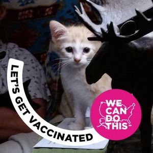 Meet your Posher, Lynne